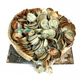 ���ڡ���  AOKI, Ken <br> �䳥 Ashes