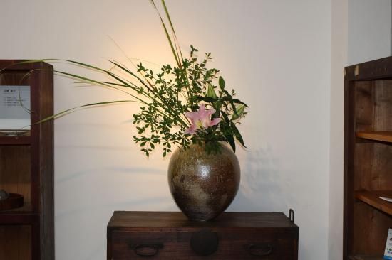 �����䡿Large Vesse