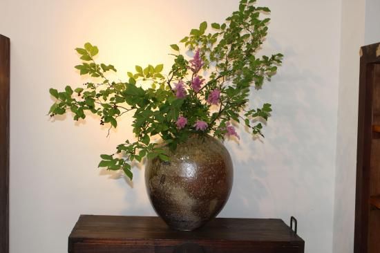 �����䡿Large Vesse