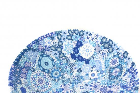 Ʃ������ȭ��Flower Ga