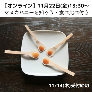 Υ饤11/22ʶ13:30ޥ̥ϥˡΤդ 