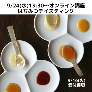 Υ饤9/24ʿ13:30Ϥߤĥƥƥ 