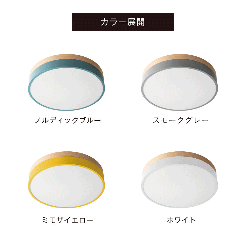 BRID Olika LED CEILING LIGHT ブリッド オリカ LED シーリングライト