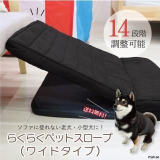 ���¥���ӥ� �ڥåȥ������סʥ磻�ɡ� PSW-60 