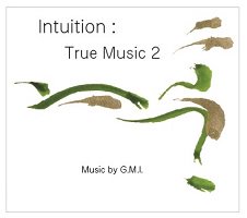 Intuition : True Music 2