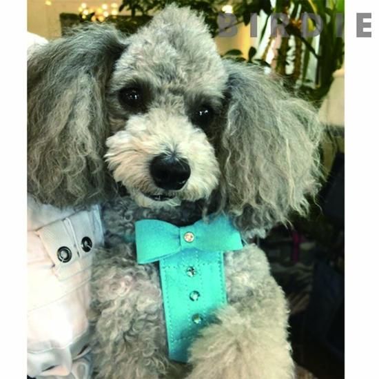 【新品・未使用・タグ付】BIRDIE ハーネスとリード(サイズ:SS) ブルー バーディ BIRDIE アイフレックスハーネス SS 小型犬用ワンタッチ