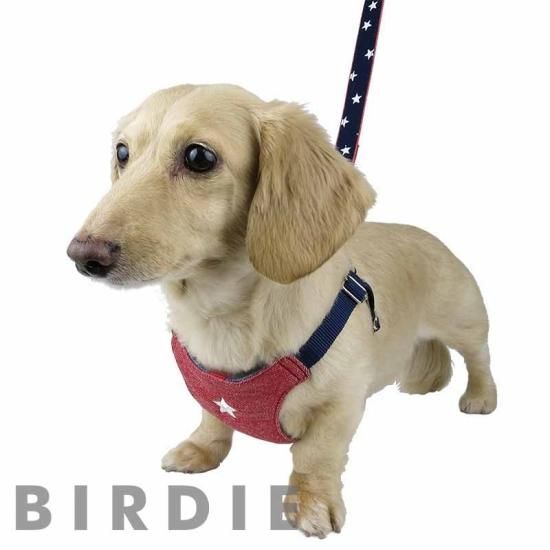 スターソフトハーネスS - BIRDIE〈バーディオンラインショップ〉