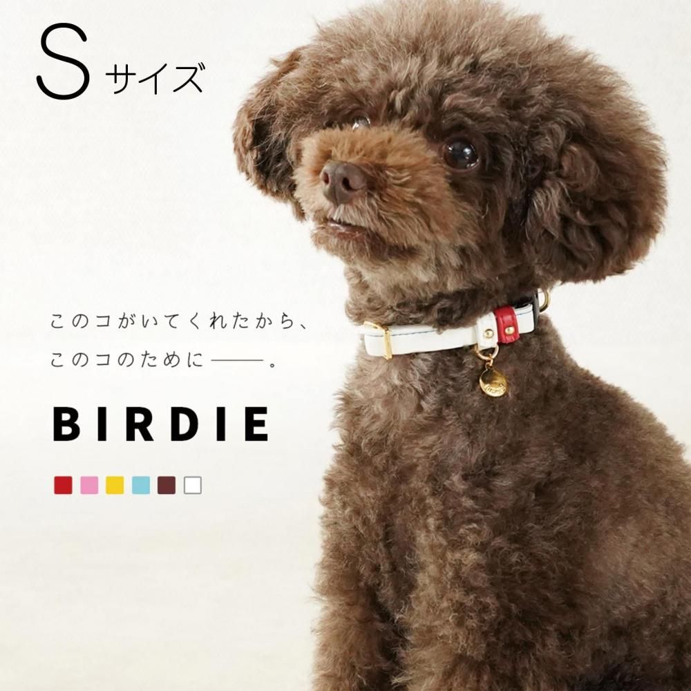 ȥ쥶顼S