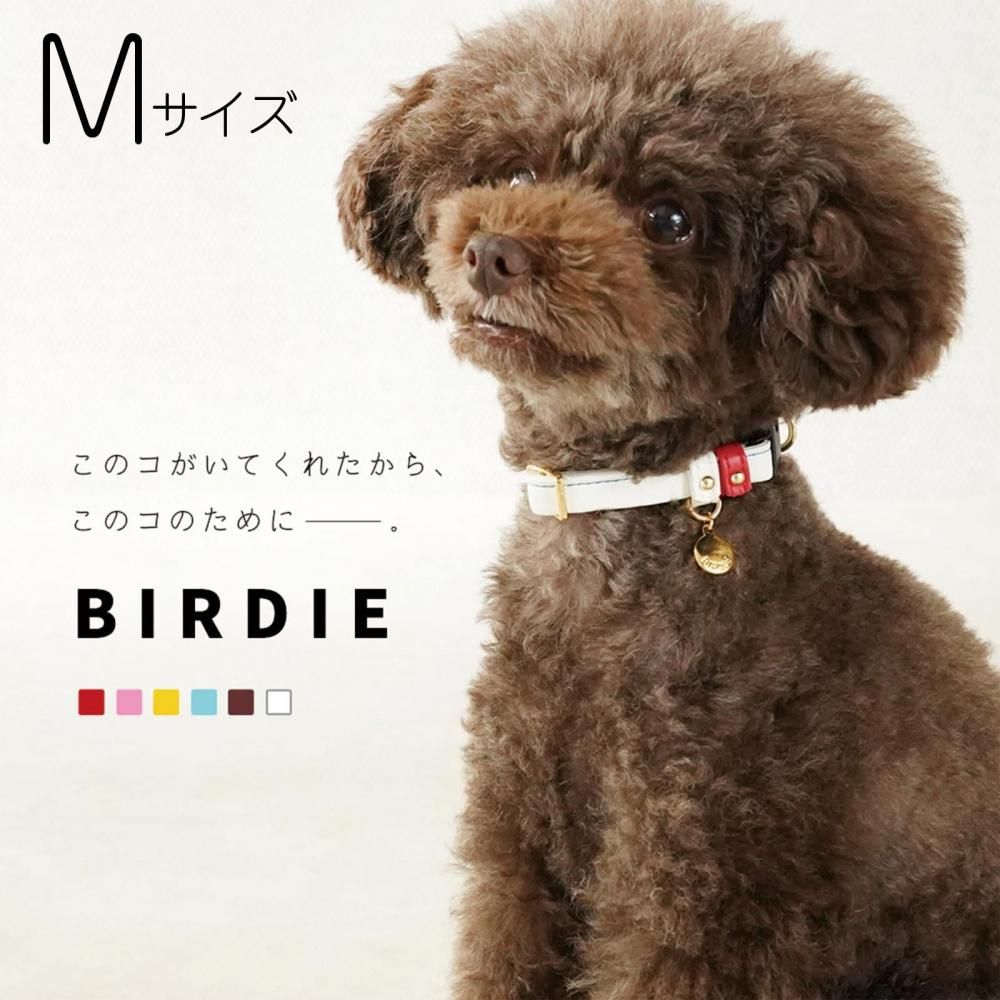 ȥ쥶顼M