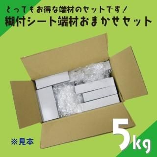 üपޤå5硡եޥͥåȥȡʥߡϤޤ