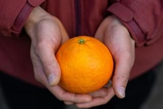 �ޤɤ�ʡڰ���-2.5kg-��12/20������ȯ��ͽ���