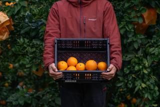 �ޤɤ�ʡ�����-4.5kg-��12/20������ȯ��ͽ���