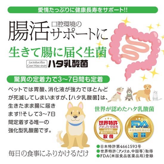 ハタ乳酸菌 FOR PETS（60g入り・約2ヶ月分 計量スプーン付） - youthmind