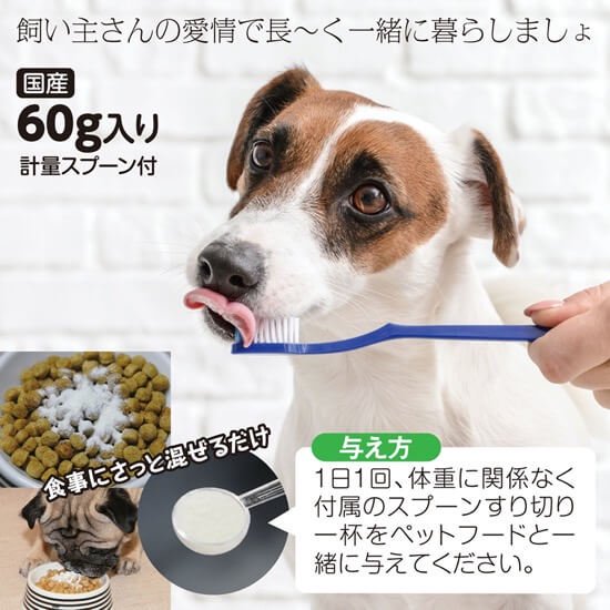 ハタ乳酸菌 FOR PETS（60g入り・約2ヶ月分 計量スプーン付） - youthmind