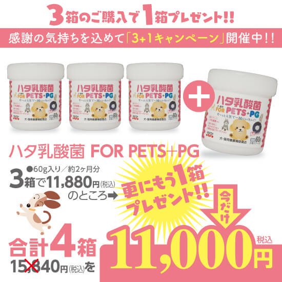 ハタ乳酸菌 FOR PETS + PG 4個セット お得意様限定特価 - youthmind