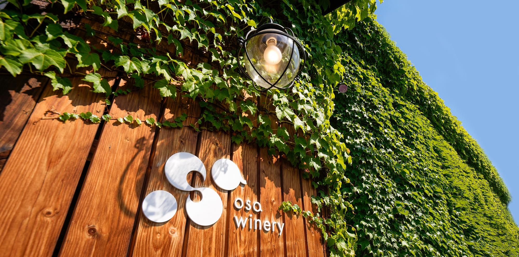 OSA WINERY 磻ʥ꡼