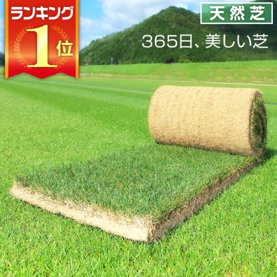 芝生 天然芝 三種混合ロール巻芝 送料無料 （芝生 通販） - サンワ