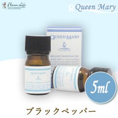 쾦 ե졼С饤 Flavor Life ꡼ Queen Mary ˥åå󥷥륪 ֥åڥåѡ 5ml 00638