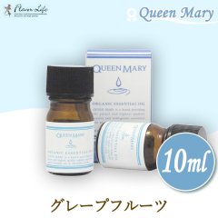 쾦 ե졼С饤 Flavor Life ꡼ Queen Mary ˥åå󥷥륪 졼ץե롼 10ml 00709