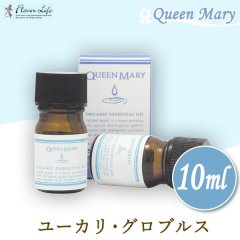 쾦 ե졼С饤 Flavor Life ꡼ Queen Mary ˥åå󥷥륪 桼ꡦ֥륹 10ml 00752