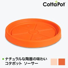 Cottapot ݥå  8004 CT-8004
