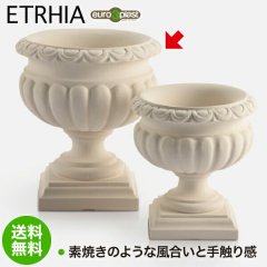 Euro 3 Plast Etrhia Etrusca 桼꡼ץ饹 ȥꥢ ץ󥿡 ȥ饹48 ER-1181W
