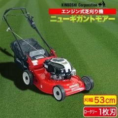 Ǵ굡 ܥ ˥塼ȥ⥢ GSR-5305BS(Ǵ)