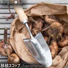 BurgonBall Transplanter ƥ쥹 ܿå() GTH-STPRHS