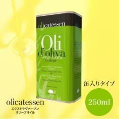 ꥫƥ olicatessen ȥ󥪥꡼֥ oliveoil  250ml