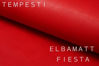 ELBAMATTFIESTA֤ξʲ