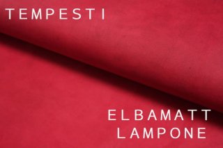 ELBAMATTLAMPONE磻ξʲ