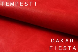 DAKARFIESTA֤ξʲ