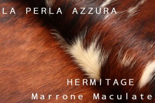 HERMITAGEMARRONE/MACULATEξʲ