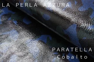 PARATELLACOBALTOξʲ