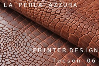 PRINTER DESIGNTUCSON֥饦ξʲ