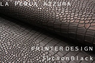 PRINTER DESIGNTUCSON֥åξʲ