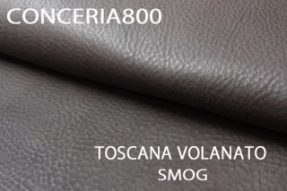 TOSCANO VOLANATOSMOGξʲ