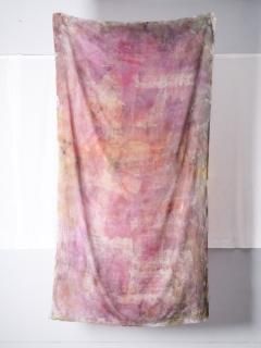 ƥ sekisou C21