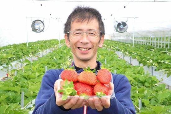坪井農園】冷凍いちご[2kg]◎真空パック◎スムージー◎デザート