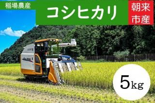 ڰ7ǯҥ5kgơīԻ <img class='new_mark_img2' src='https://img.shop-pro.jp/img/new/icons1.gif' style='border:none;display:inline;margin:0px;padding:0px;width:auto;' />ξʲ