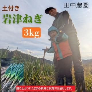 11·î½é½ÜÈÎÇ䳫»Ï!!ÅÚÉÕ¤´äÄŤͤ®3kg¡ÚÅÄÃæÇÀ±à¡Û¡ý˧½æ¤Ê´Å¤µ¤È¹á¤ê¡¢¤È¤í¤±¤ë½À¤é¤«¤µ¤Î¶Ë¾å¥Í¥®¡ý11·î26Æü¤«¤é½ç¼¡È¯Á÷ͽÄê<img class='new_mark_img2' src='https://img.shop-pro.jp/img/new/icons1.gif' style='border:none;display:inline;margin:0px;padding:0px;width:auto;' />¤Î¾¦ÉʲèÁü