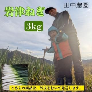 11·î½é½ÜÈÎÇ䳫»Ï!!´äÄŤͤ®3kg(Èé¤à¤)¡ÚÅÄÃæÇÀ±à¡Û¡ý˧½æ¤Ê´Å¤µ¤È¹á¤ê¡¢¤È¤í¤±¤ë½À¤é¤«¤µ¤Î¶Ë¾å¥Í¥®¡ý11·î26Æü¤«¤é½ç¼¡È¯Á÷ͽÄê<img class='new_mark_img2' src='https://img.shop-pro.jp/img/new/icons1.gif' style='border:none;display:inline;margin:0px;padding:0px;width:auto;' />¤Î¾¦ÉʲèÁü