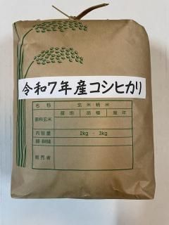 ڸۥҥ 3kg 7ǯơۡ¼Τ<img class='new_mark_img2' src='https://img.shop-pro.jp/img/new/icons1.gif' style='border:none;display:inline;margin:0px;padding:0px;width:auto;' />ξʲ