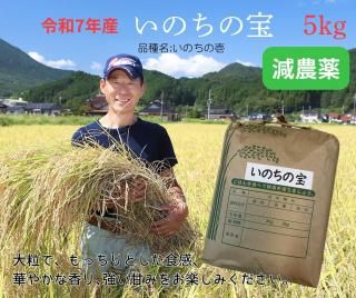 7ǯڿơۤΤ 5kg  㲹۴ļ դä (ʼ:Τΰ)<img class='new_mark_img2' src='https://img.shop-pro.jp/img/new/icons1.gif' style='border:none;display:inline;margin:0px;padding:0px;width:auto;' />ξʲ