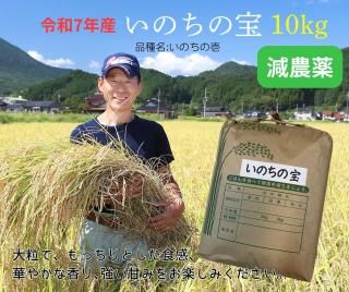 7ǯڿơۤΤ 10kg  㲹۴ļ դä (ʼ:Τΰ)<img class='new_mark_img2' src='https://img.shop-pro.jp/img/new/icons1.gif' style='border:none;display:inline;margin:0px;padding:0px;width:auto;' />ξʲ