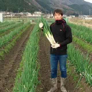 Ťͤ2kg(भ)ۡ˧ʴŤȹꡢȤ餫ζ˾ͥ1126缡ȯͽ<img class='new_mark_img2' src='https://img.shop-pro.jp/img/new/icons1.gif' style='border:none;display:inline;margin:0px;padding:0px;width:auto;' />ξʲ