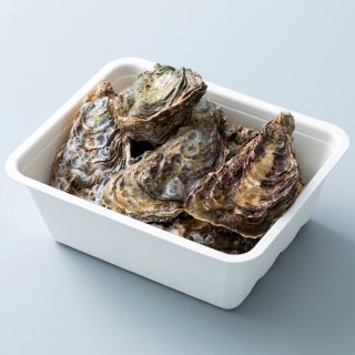 美浄生牡蠣【殻付き15〜20個】ご贈答用の商品画像