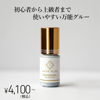 Lashplus åץ饹ۥץեåʥ륰롼1/2ܥå/ء