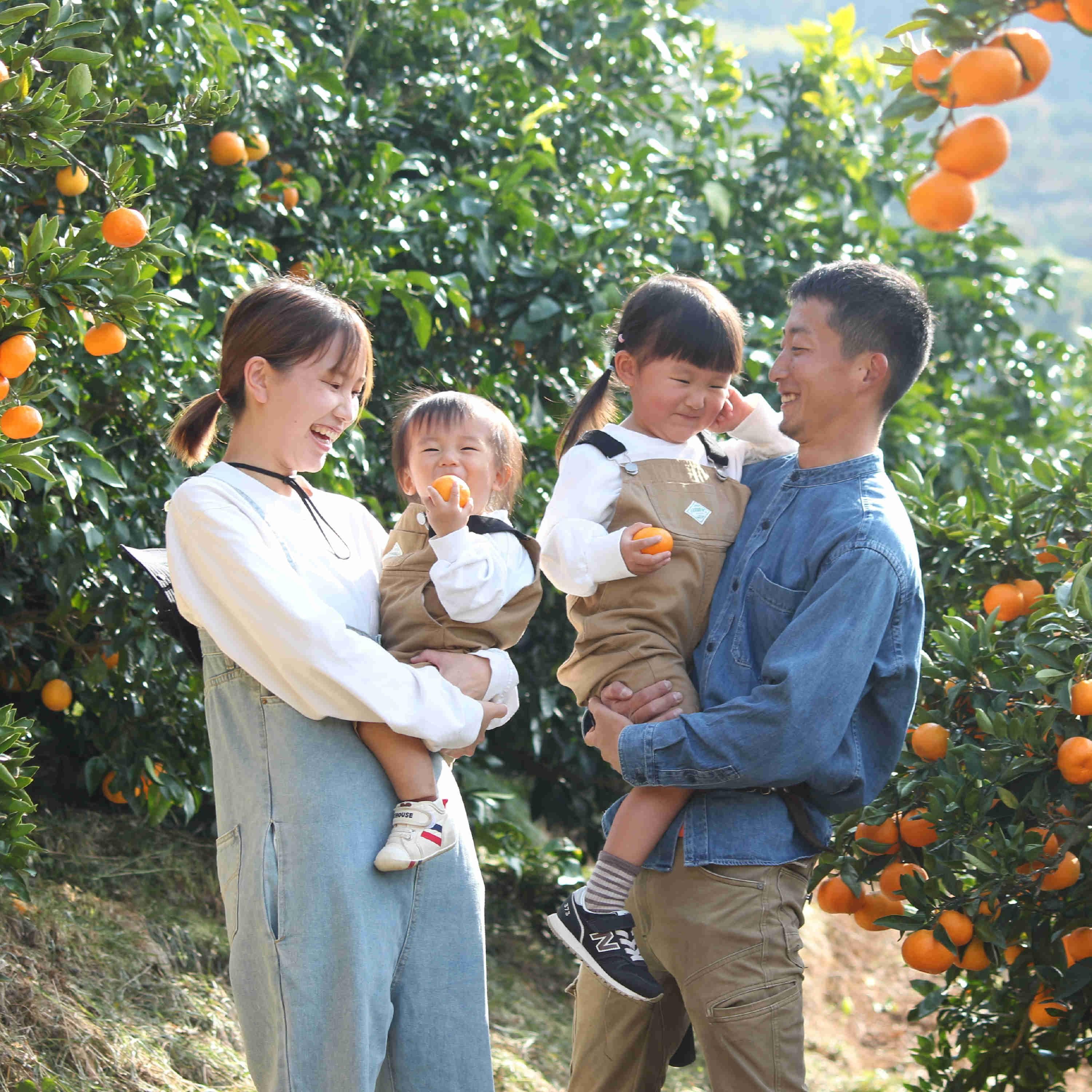 ���ľ���