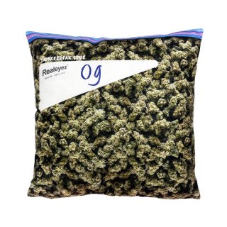 Zip in Bag Weed Cushion (#2)